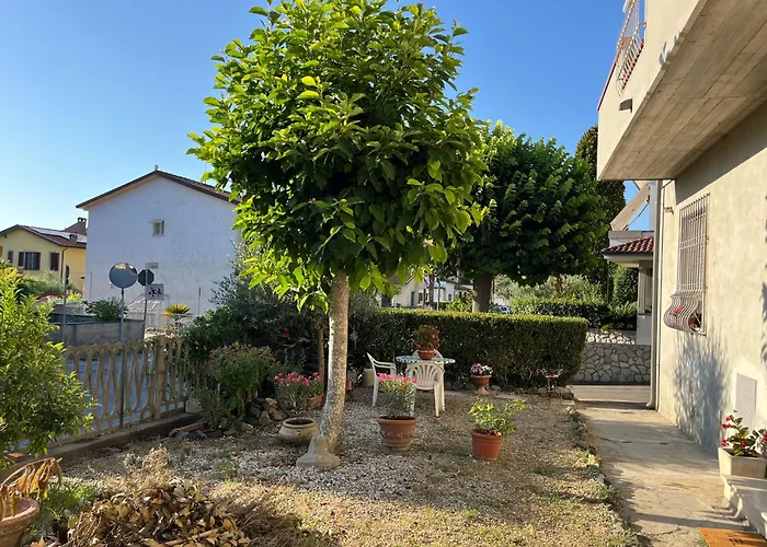 Casa *